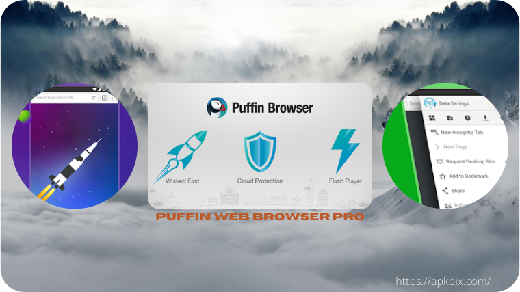 puffin-web-browser-pro-mod-apk